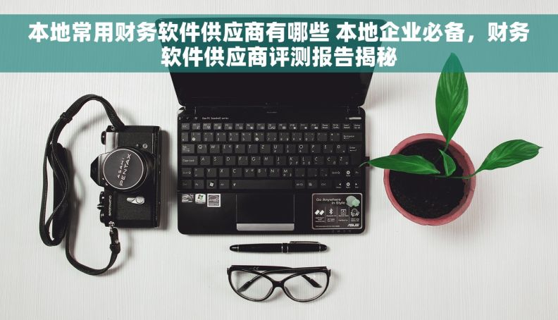 本地常用财务软件供应商有哪些 本地企业必备，财务软件供应商评测报告揭秘