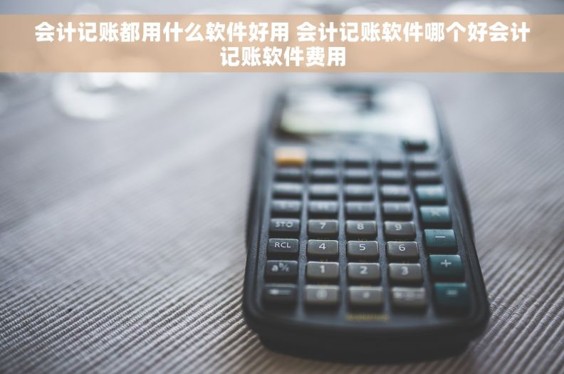 会计记账都用什么软件好用 会计记账软件哪个好会计记账软件费用