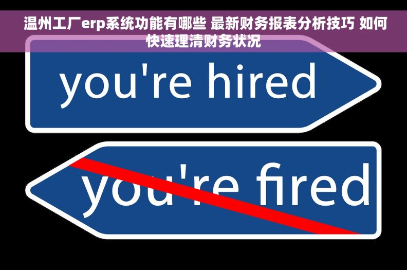  温州工厂erp系统功能有哪些 最新财务报表分析技巧 如何快速理清财务状况
