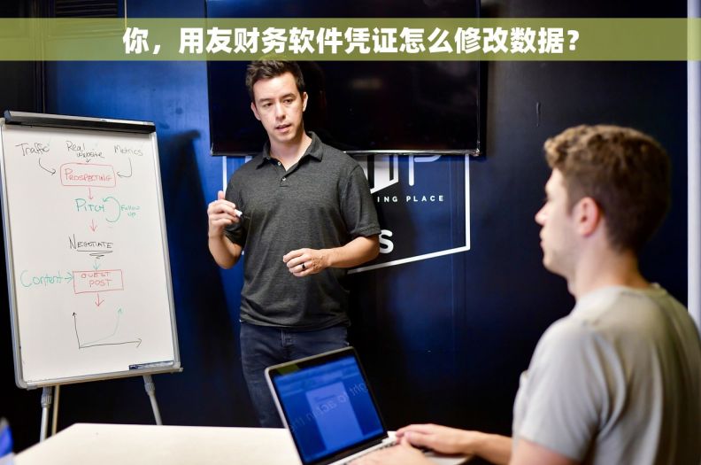 你，用友财务软件凭证怎么修改数据？