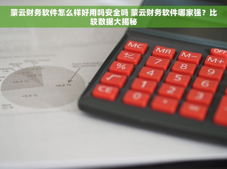 蒙云财务软件怎么样好用吗安全吗 蒙云财务软件哪家强？比较数据大揭秘