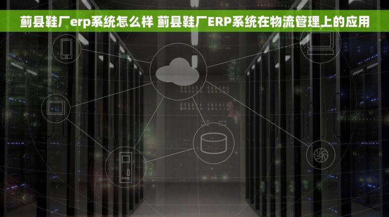 蓟县鞋厂erp系统怎么样 蓟县鞋厂ERP系统在物流管理上的应用