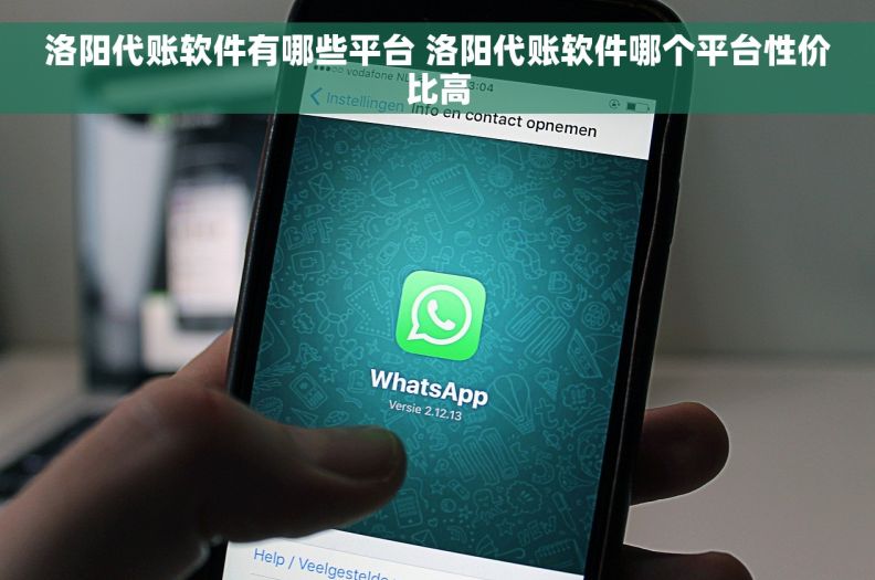 洛阳代账软件有哪些平台 洛阳代账软件哪个平台性价比高