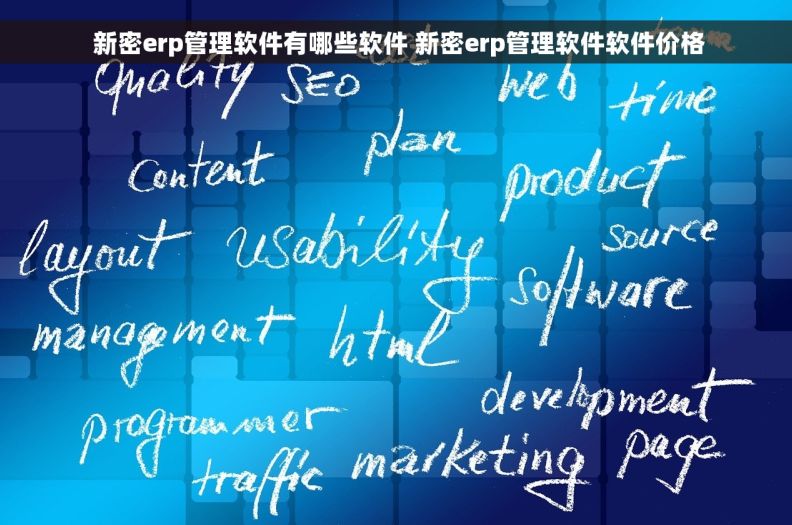  新密erp管理软件有哪些软件 新密erp管理软件软件价格