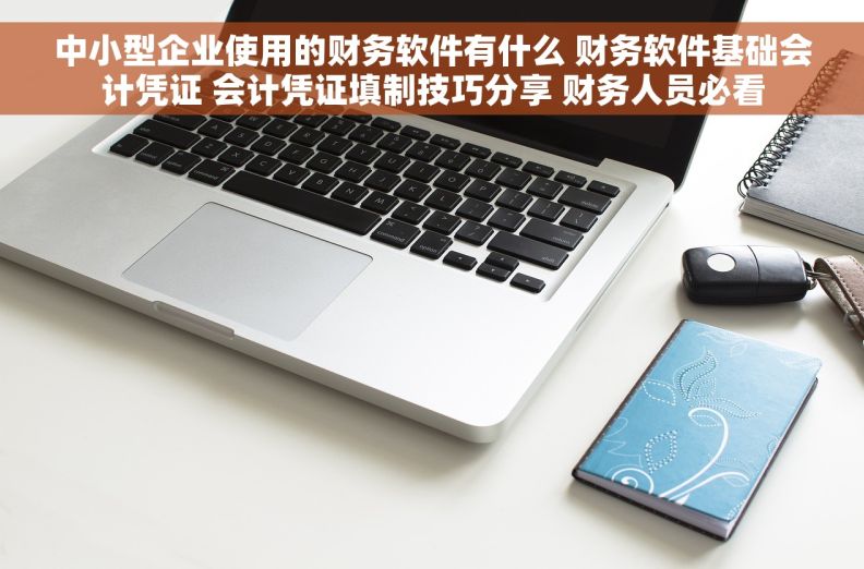 中小型企业使用的财务软件有什么 财务软件基础会计凭证 会计凭证填制技巧分享 财务人员必看