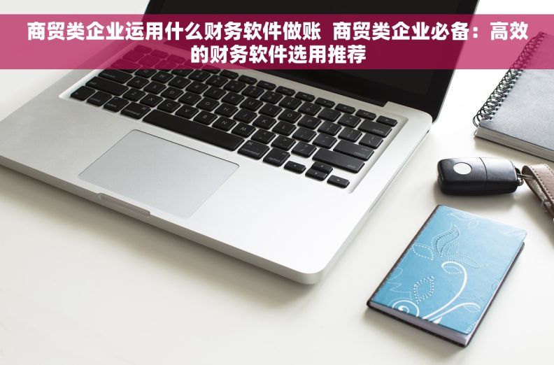 商贸类企业运用什么财务软件做账  商贸类企业必备：高效的财务软件选用推荐