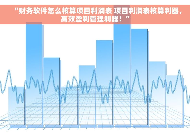 “财务软件怎么核算项目利润表 项目利润表核算利器，高效盈利管理利器！”