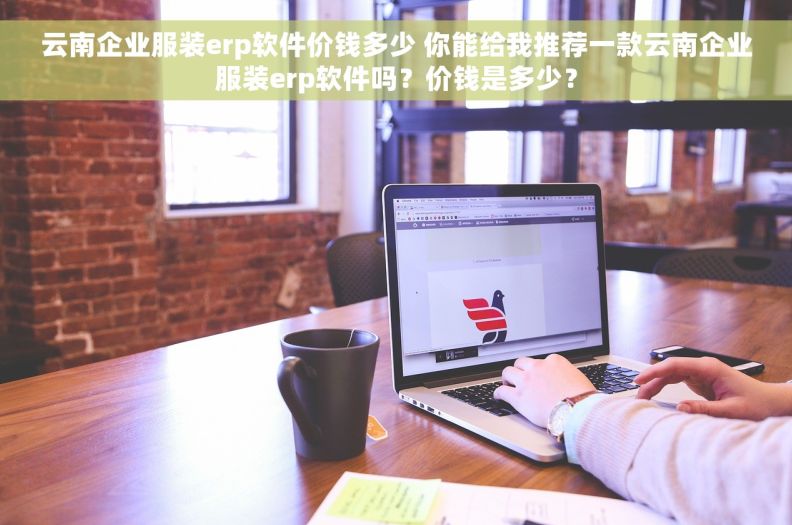 云南企业服装erp软件价钱多少 你能给我推荐一款云南企业服装erp软件吗？价钱是多少？