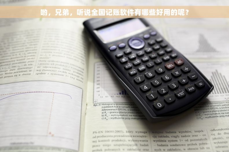 哟，兄弟，听说全国记账软件有哪些好用的呢？