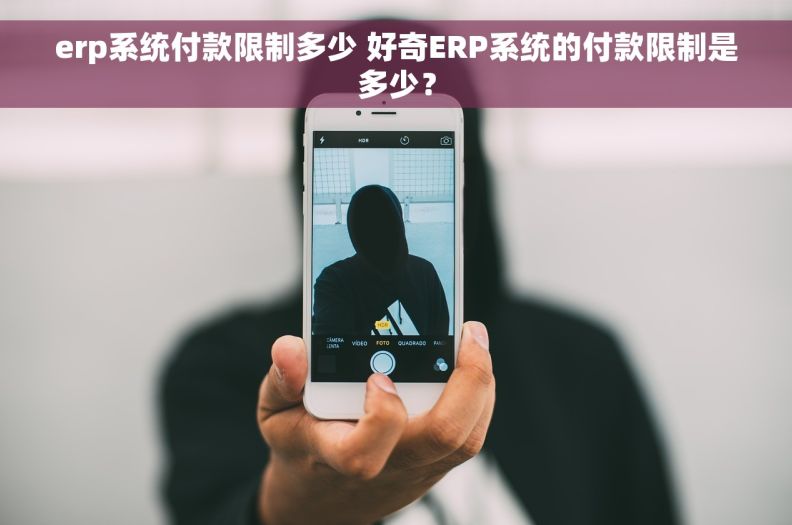erp系统付款限制多少 好奇ERP系统的付款限制是多少？