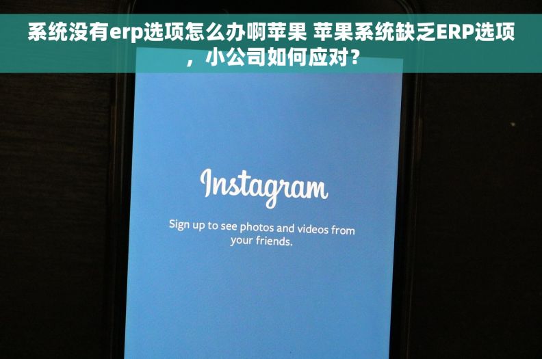 系统没有erp选项怎么办啊苹果 苹果系统缺乏ERP选项，小公司如何应对？