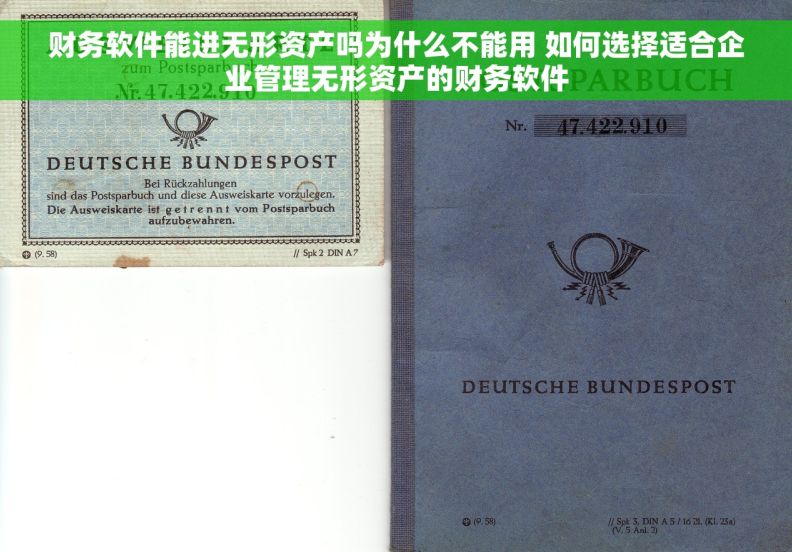 财务软件能进无形资产吗为什么不能用 如何选择适合企业管理无形资产的财务软件