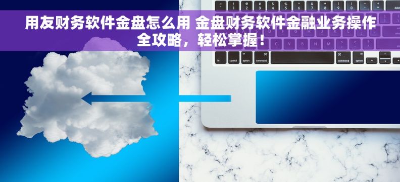 用友财务软件金盘怎么用 金盘财务软件金融业务操作全攻略，轻松掌握！