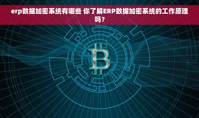erp数据加密系统有哪些 你了解ERP数据加密系统的工作原理吗？