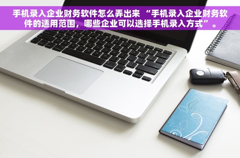 手机录入企业财务软件怎么弄出来 “手机录入企业财务软件的适用范围，哪些企业可以选择手机录入方式”。