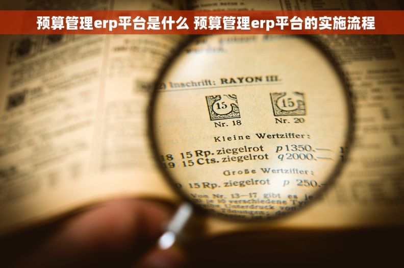   预算管理erp平台是什么 预算管理erp平台的实施流程
