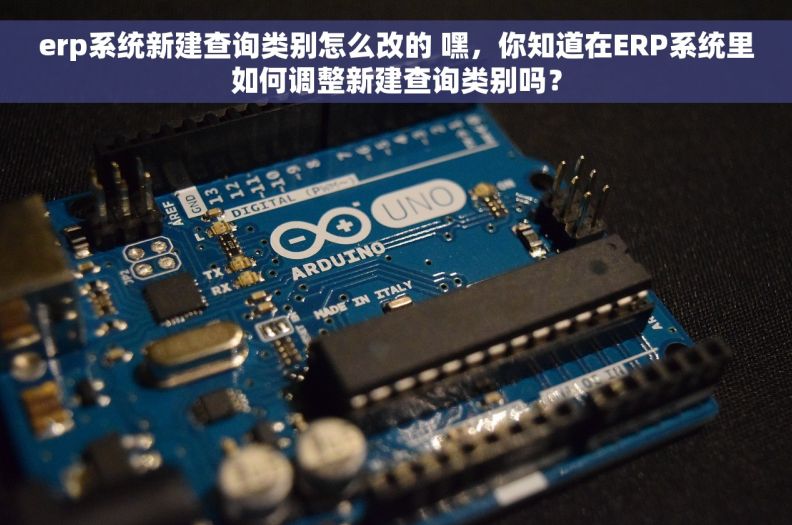 erp系统新建查询类别怎么改的 嘿，你知道在ERP系统里如何调整新建查询类别吗？