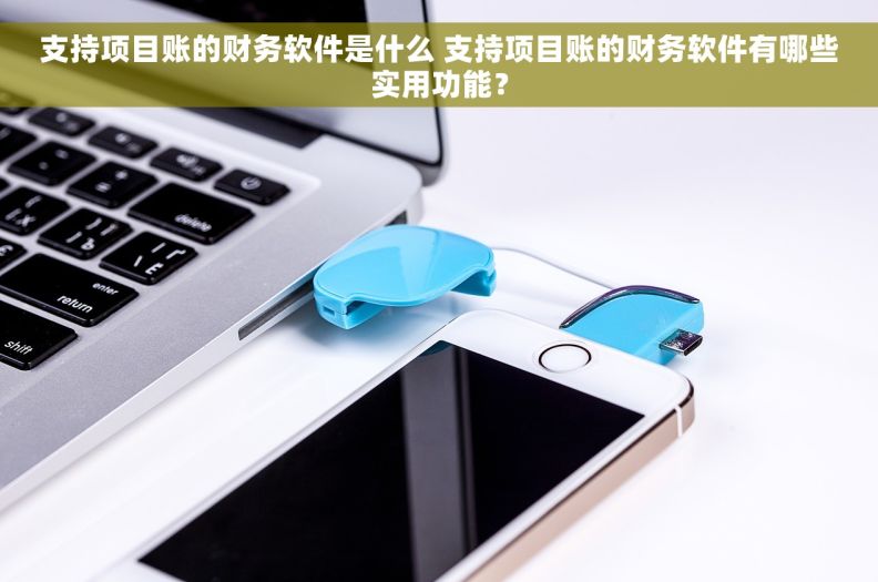 支持项目账的财务软件是什么 支持项目账的财务软件有哪些实用功能？