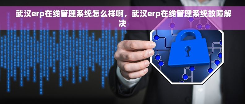  武汉erp在线管理系统怎么样啊，武汉erp在线管理系统故障解决