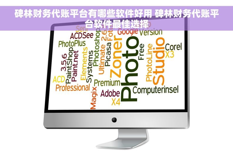 碑林财务代账平台有哪些软件好用 碑林财务代账平台软件最佳选择