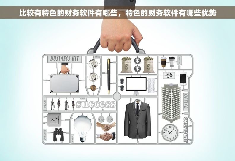 比较有特色的财务软件有哪些，特色的财务软件有哪些优势