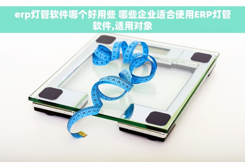 erp灯管软件哪个好用些 哪些企业适合使用ERP灯管软件,适用对象