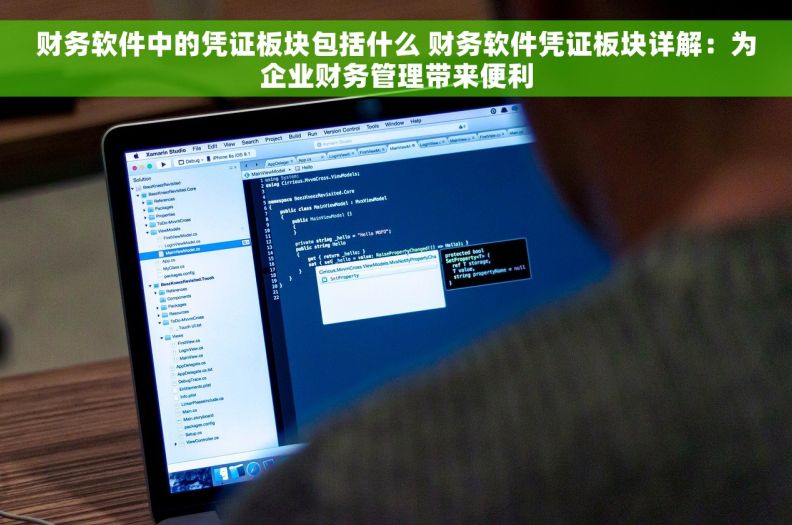 财务软件中的凭证板块包括什么 财务软件凭证板块详解：为企业财务管理带来便利