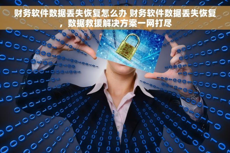 财务软件数据丢失恢复怎么办 财务软件数据丢失恢复，数据救援解决方案一网打尽