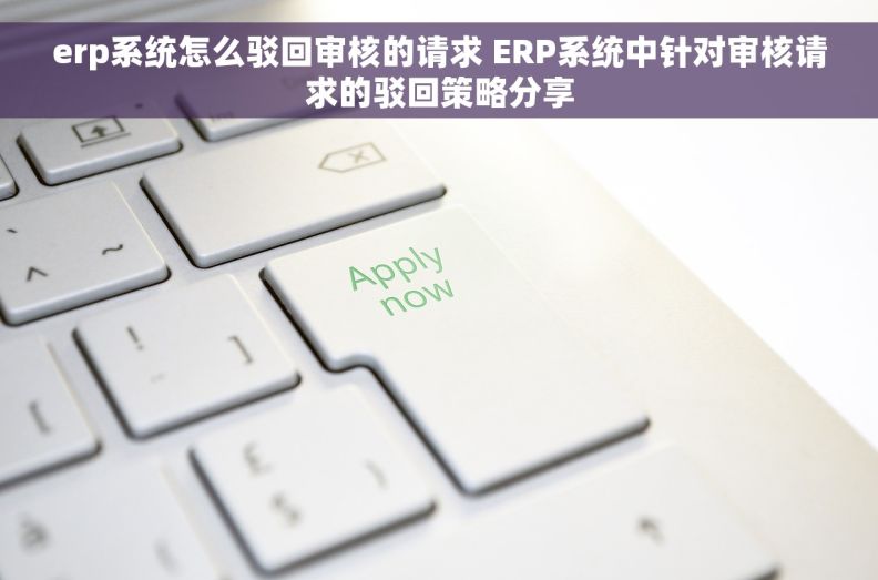 erp系统怎么驳回审核的请求 ERP系统中针对审核请求的驳回策略分享