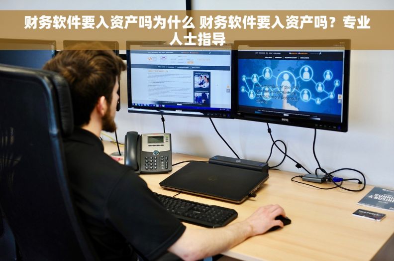 财务软件要入资产吗为什么 财务软件要入资产吗？专业人士指导