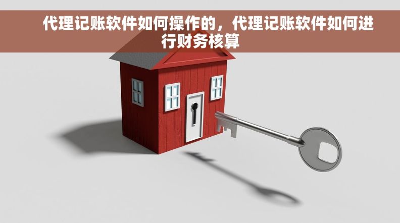     代理记账软件如何操作的，代理记账软件如何进行财务核算