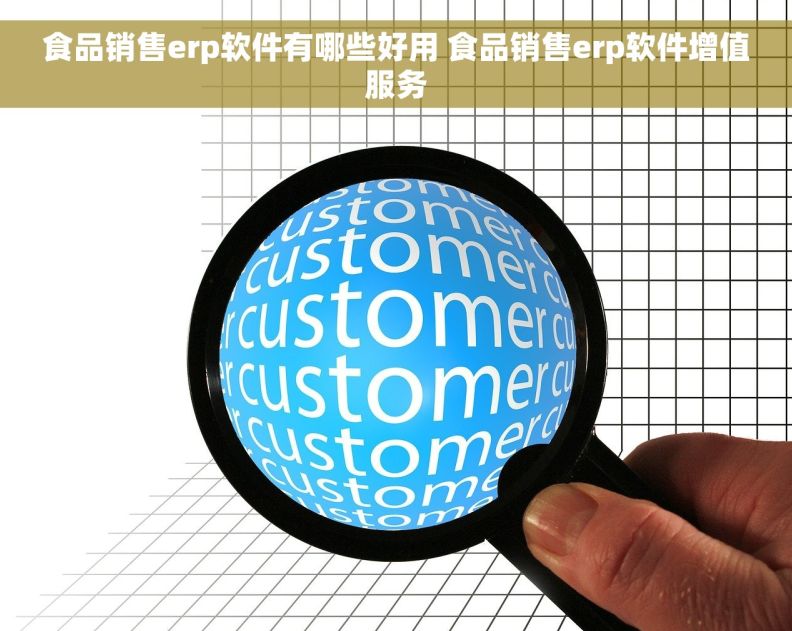 食品销售erp软件有哪些好用 食品销售erp软件增值服务