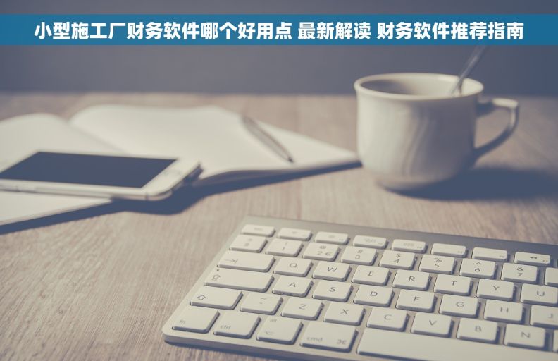 小型施工厂财务软件哪个好用点 最新解读 财务软件推荐指南