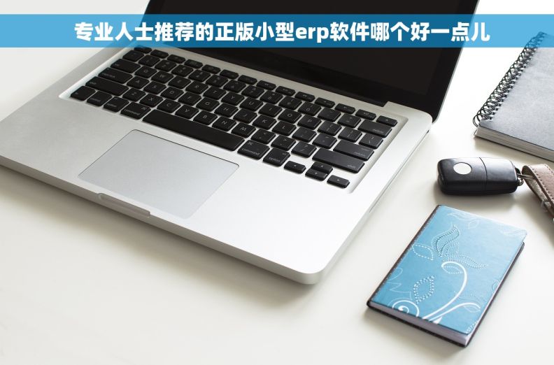   专业人士推荐的正版小型erp软件哪个好一点儿