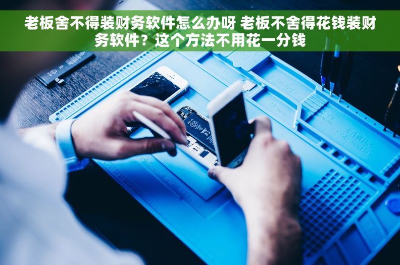 老板舍不得装财务软件怎么办呀 老板不舍得花钱装财务软件？这个方法不用花一分钱