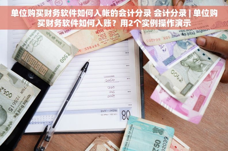 单位购买财务软件如何入帐的会计分录 会计分录 | 单位购买财务软件如何入账？用2个实例操作演示