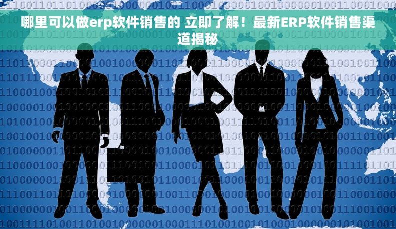 哪里可以做erp软件销售的 立即了解！最新ERP软件销售渠道揭秘