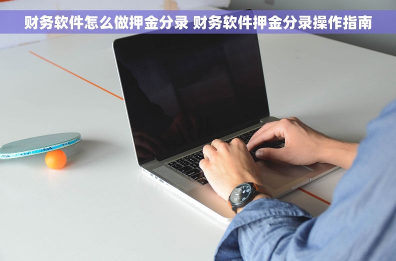 财务软件怎么做押金分录 财务软件押金分录操作指南