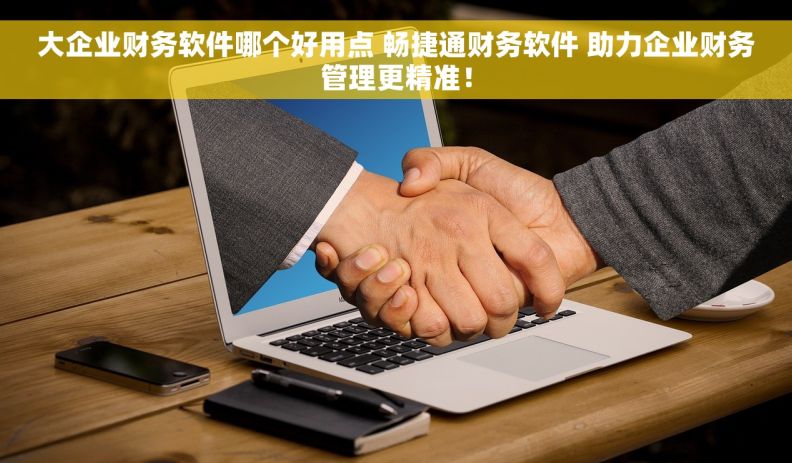 		大企业财务软件哪个好用点 畅捷通财务软件 助力企业财务管理更精准！