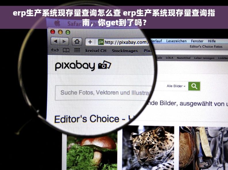 erp生产系统现存量查询怎么查 erp生产系统现存量查询指南，你get到了吗？