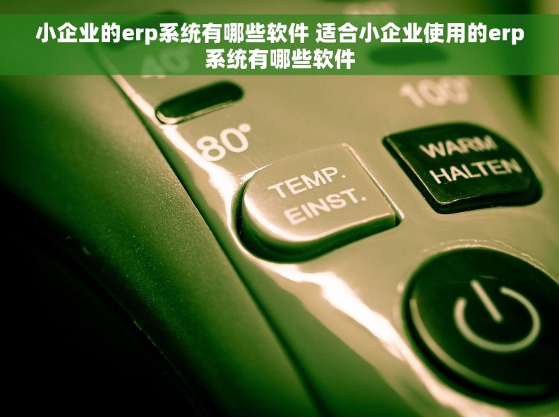 小企业的erp系统有哪些软件 适合小企业使用的erp系统有哪些软件