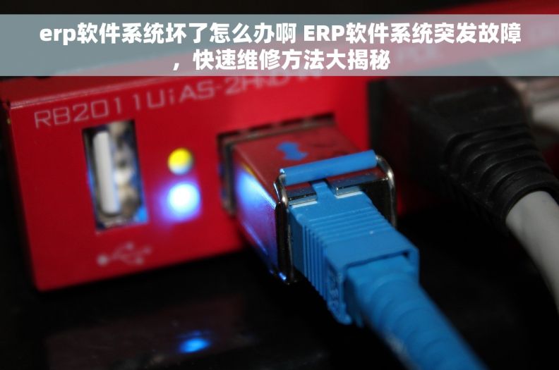 erp软件系统坏了怎么办啊 ERP软件系统突发故障，快速维修方法大揭秘