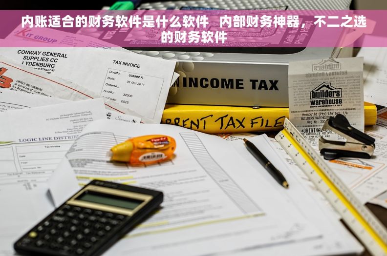 内账适合的财务软件是什么软件   内部财务神器，不二之选的财务软件