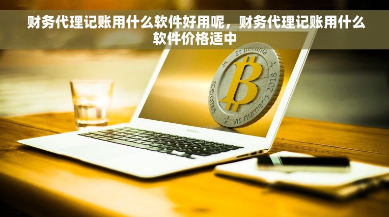  财务代理记账用什么软件好用呢，财务代理记账用什么软件价格适中