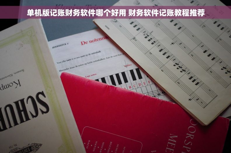 单机版记账财务软件哪个好用 财务软件记账教程推荐