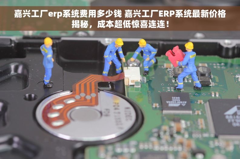 嘉兴工厂erp系统费用多少钱 嘉兴工厂ERP系统最新价格揭秘，成本超低惊喜连连！