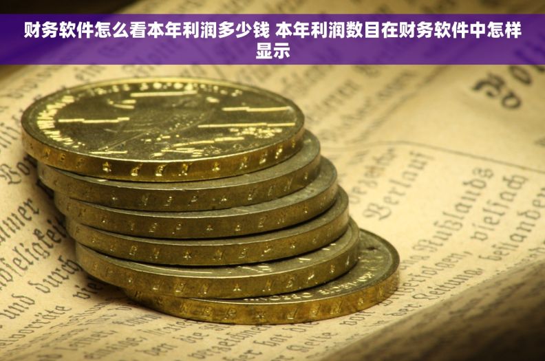财务软件怎么看本年利润多少钱 本年利润数目在财务软件中怎样显示