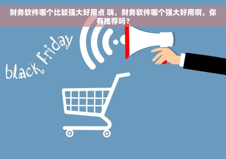 财务软件哪个比较强大好用点 嗨，财务软件哪个强大好用啊，你有推荐吗？