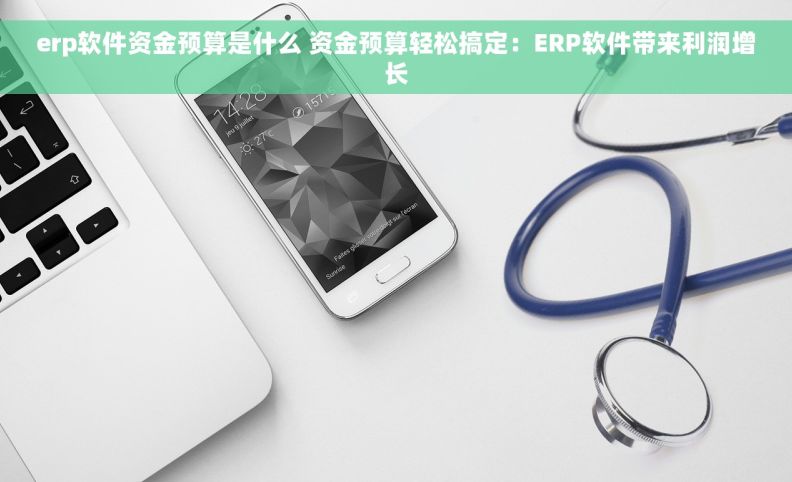 erp软件资金预算是什么 资金预算轻松搞定：ERP软件带来利润增长