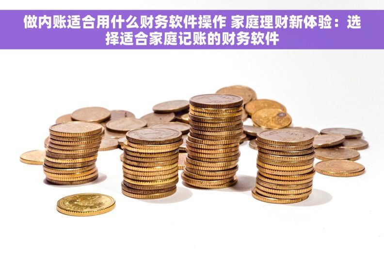 做内账适合用什么财务软件操作 家庭理财新体验：选择适合家庭记账的财务软件